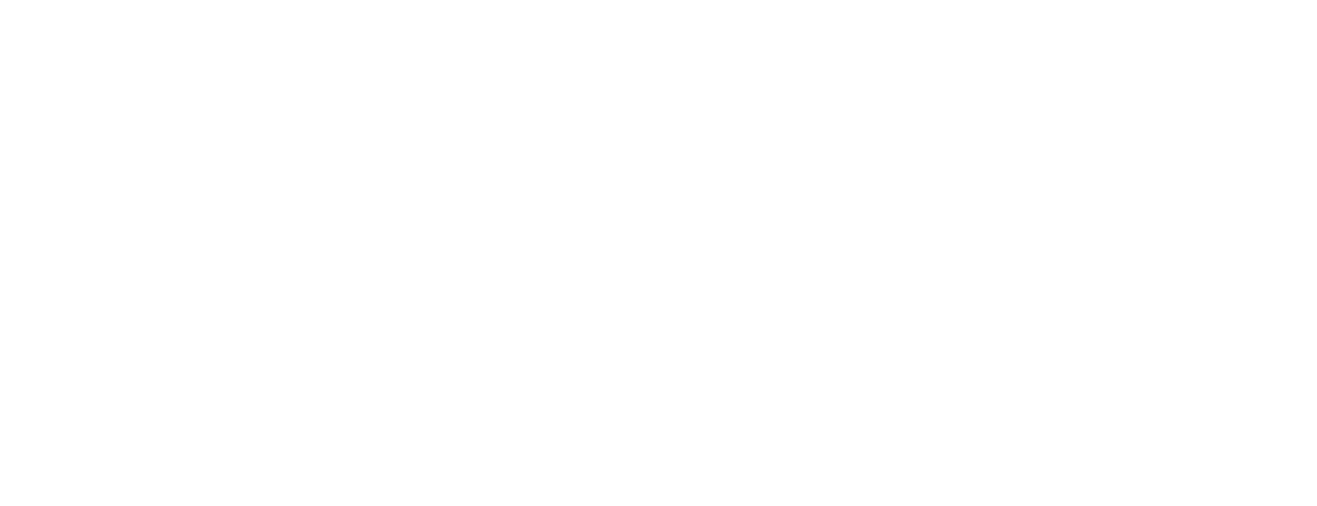 Jungle POS